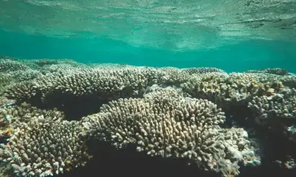 Cape Range gorge meeting Ningaloo Reef, Exmouth
